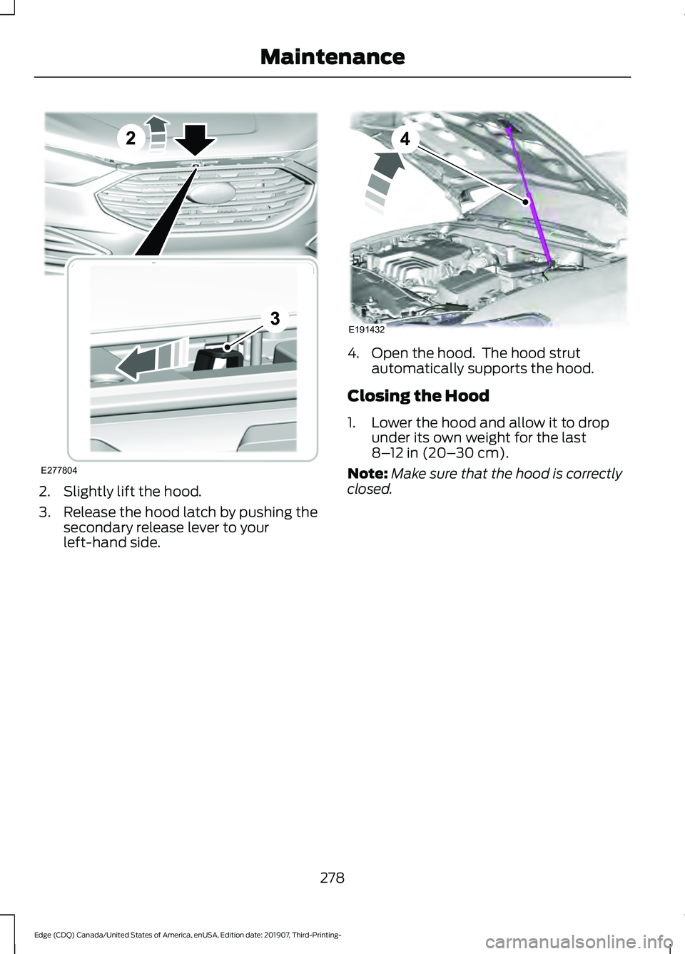 FORD EDGE 2020  Owners Manual 2. Slightly lift the hood.
3. Release the hood latch by pushing the
secondary release lever to your
left-hand side. 4. Open the hood.  The hood strut
automatically supports the hood.
Closing the Hood
