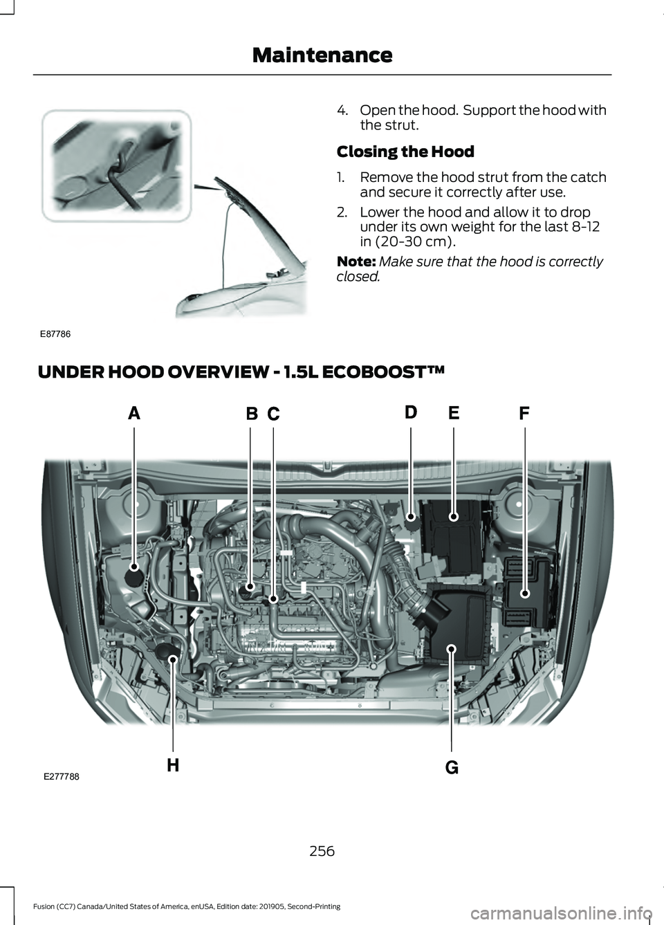 FORD FUSION 2020 Owners Manual 4.
Open the hood. Support the hood with
the strut.
Closing the Hood
1. Remove the hood strut from the catch
and secure it correctly after use.
2. Lower the hood and allow it to drop under its own wei FORD FUSION 2020 Owners Manual 4.
Open the hood. Support the hood with
the strut.
Closing the Hood
1. Remove the hood strut from the catch
and secure it correctly after use.
2. Lower the hood and allow it to drop under its own wei
