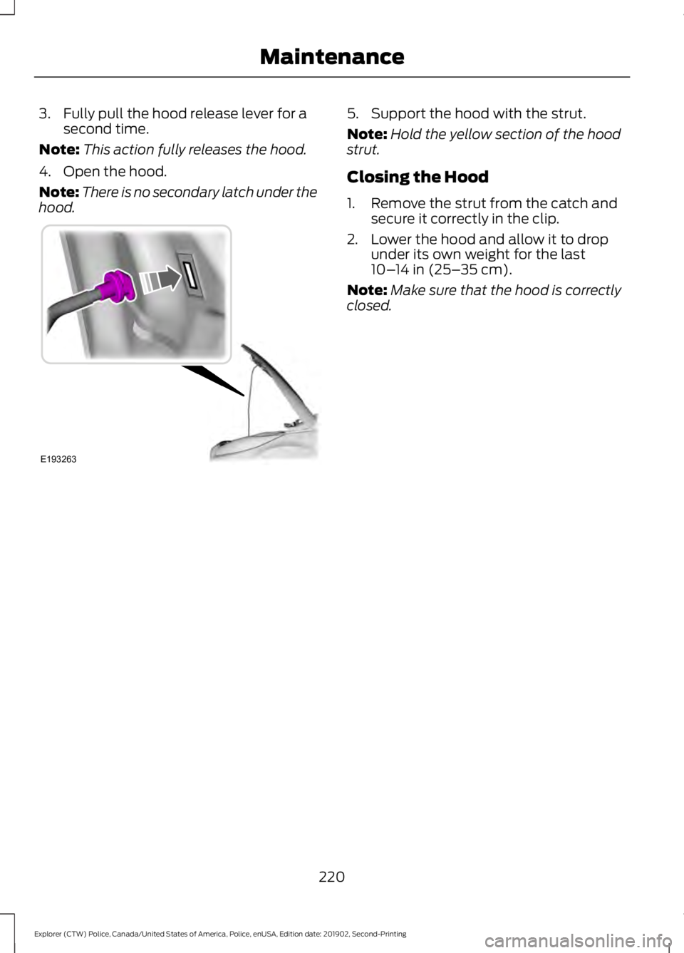 FORD POLICE INTERCEPTOR 2020 Owners Manual 3. Fully pull the hood release lever for a
second time.
Note: This action fully releases the hood.
4. Open the hood.
Note: There is no secondary latch under the
hood. 5. Support the hood with the stru FORD POLICE INTERCEPTOR 2020 Owners Manual 3. Fully pull the hood release lever for a
second time.
Note: This action fully releases the hood.
4. Open the hood.
Note: There is no secondary latch under the
hood. 5. Support the hood with the stru