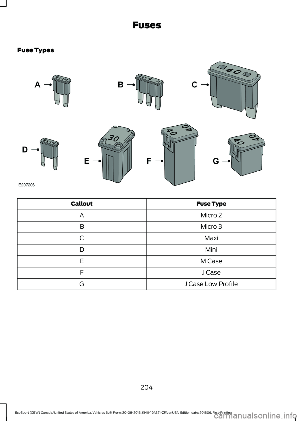 FORD ECOSPORT 2019  Owners Manual Fuse Types
Fuse TypeCallout
Micro 2A
Micro 3B
MaxiC
MiniD
M CaseE
J CaseF
J Case Low ProfileG
204
EcoSport (CBW) Canada/United States of America, Vehicles Built From: 20-08-2018, KN1J-19A321-ZFA enUSA