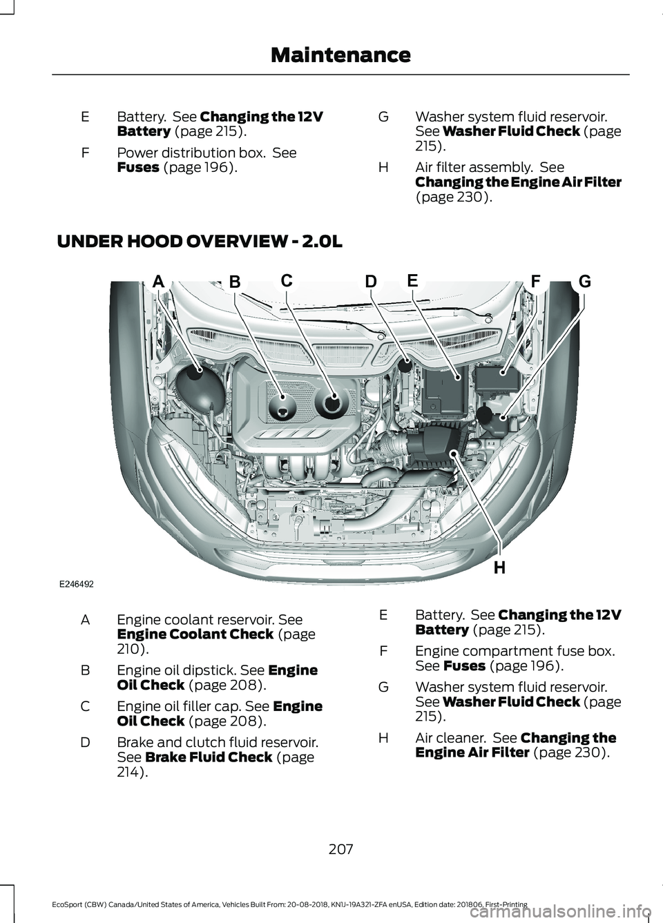 FORD ECOSPORT 2019  Owners Manual Battery. See Changing the 12VBattery (page 215).E
Power distribution box. SeeFuses (page 196).F
Washer system fluid reservoir.See Washer Fluid Check (page215).
G
Air filter assembly. SeeChanging the E
