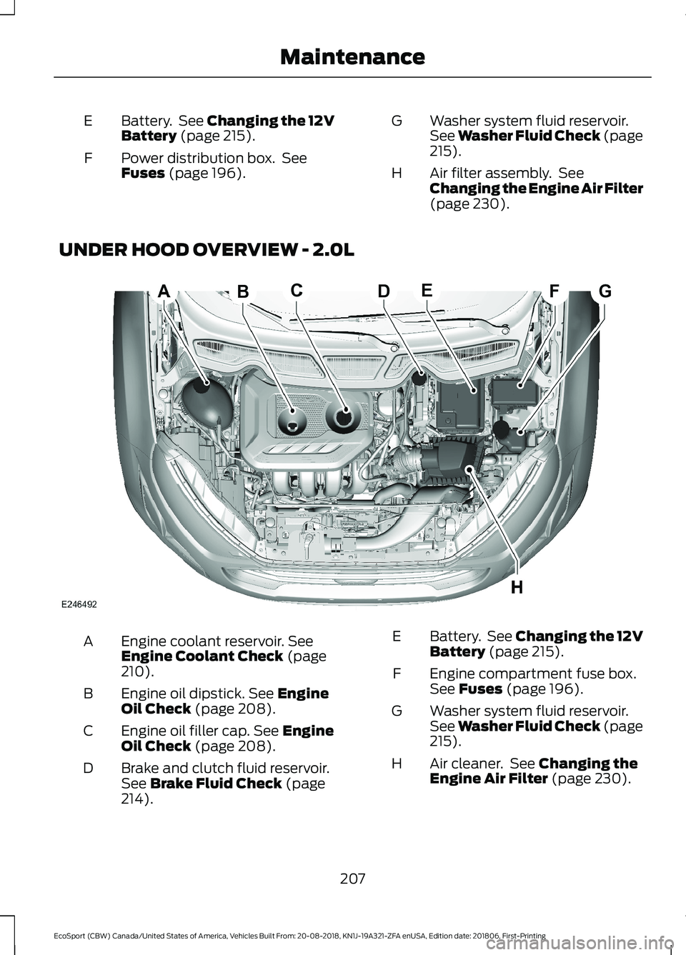 FORD ECOSPORT 2019 Owners Manual Battery. See Changing the 12VBattery (page 215).E
Power distribution box. SeeFuses (page 196).F
Washer system fluid reservoir.See Washer Fluid Check (page215).
G
Air filter assembly. SeeChanging the E FORD ECOSPORT 2019 Owners Manual Battery. See Changing the 12VBattery (page 215).E
Power distribution box. SeeFuses (page 196).F
Washer system fluid reservoir.See Washer Fluid Check (page215).
G
Air filter assembly. SeeChanging the E