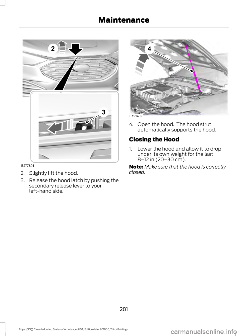 FORD EDGE 2019  Owners Manual 2. Slightly lift the hood.
3. Release the hood latch by pushing the
secondary release lever to your
left-hand side. 4. Open the hood.  The hood strut
automatically supports the hood.
Closing the Hood
