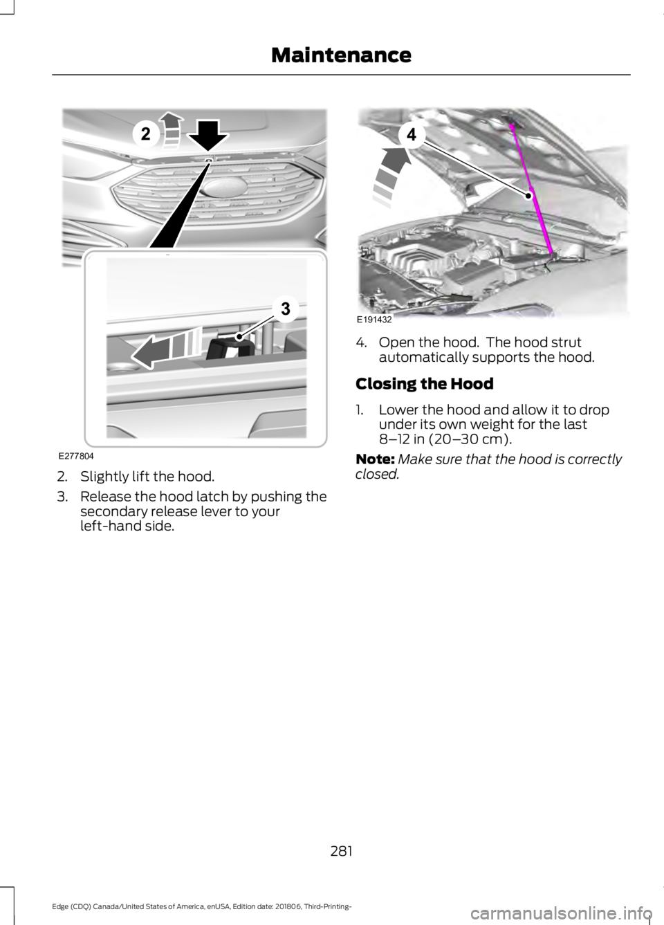 FORD EDGE 2019 Owners Manual 2. Slightly lift the hood.
3. Release the hood latch by pushing the
secondary release lever to your
left-hand side. 4. Open the hood. The hood strut
automatically supports the hood.
Closing the Hood
FORD EDGE 2019 Owners Manual 2. Slightly lift the hood.
3. Release the hood latch by pushing the
secondary release lever to your
left-hand side. 4. Open the hood. The hood strut
automatically supports the hood.
Closing the Hood
