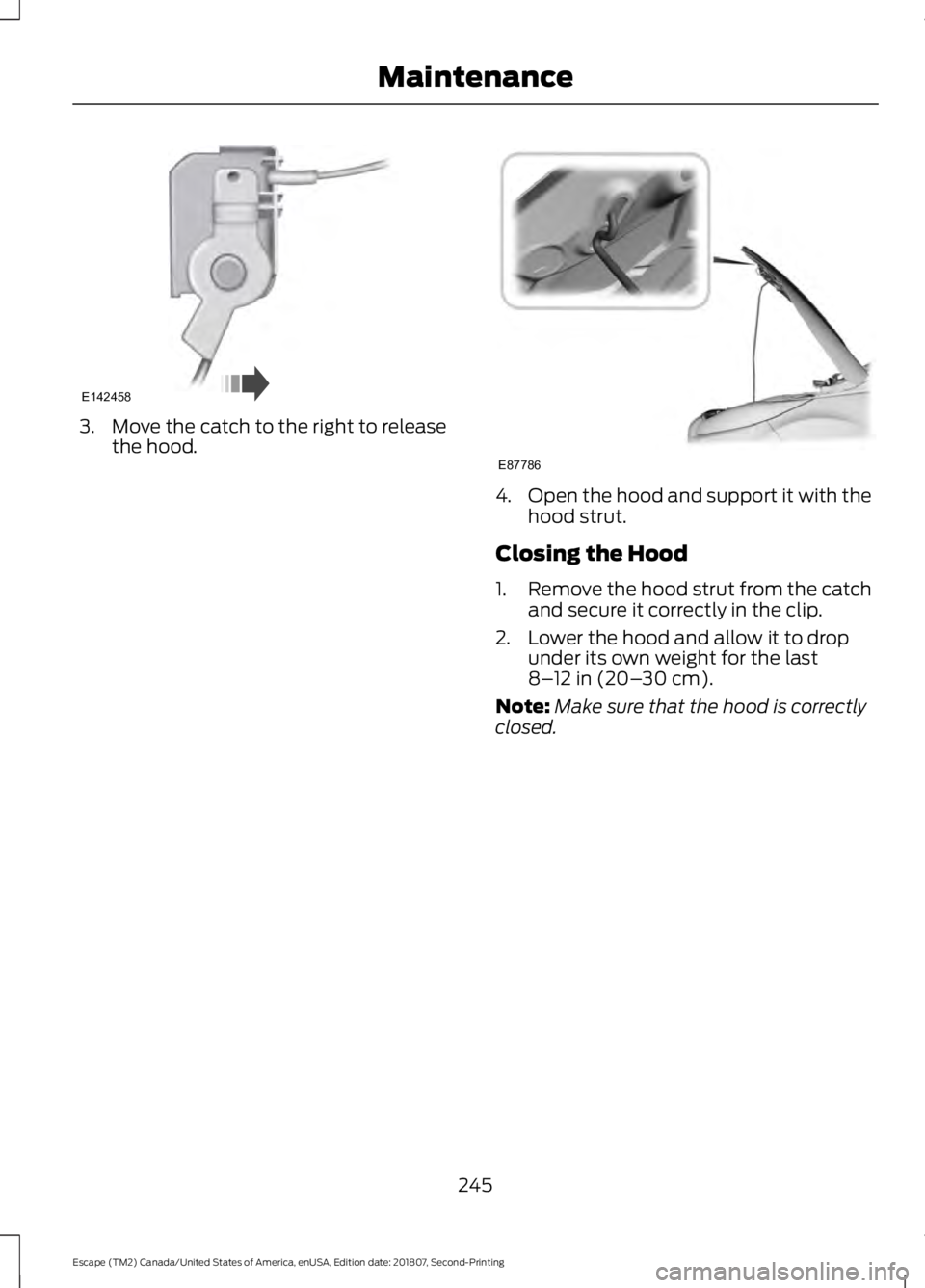 FORD ESCAPE 2019  Owners Manual 3. Move the catch to the right to release
the hood. 4.
Open the hood and support it with the
hood strut.
Closing the Hood
1. Remove the hood strut from the catch
and secure it correctly in the clip.
2