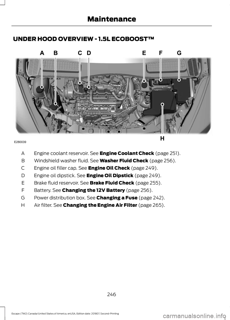 FORD ESCAPE 2019  Owners Manual UNDER HOOD OVERVIEW - 1.5L ECOBOOST™
Engine coolant reservoir. See Engine Coolant Check (page 251).
A
Windshield washer fluid.
 See Washer Fluid Check (page 256).
B
Engine oil filler cap.
 See Engin