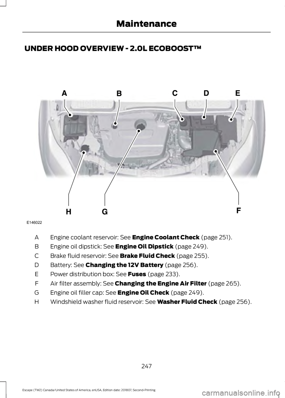 FORD ESCAPE 2019  Owners Manual UNDER HOOD OVERVIEW - 2.0L ECOBOOST™
Engine coolant reservoir: See Engine Coolant Check (page 251).
A
Engine oil dipstick:
 See Engine Oil Dipstick (page 249).
B
Brake fluid reservoir:
 See Brake Fl