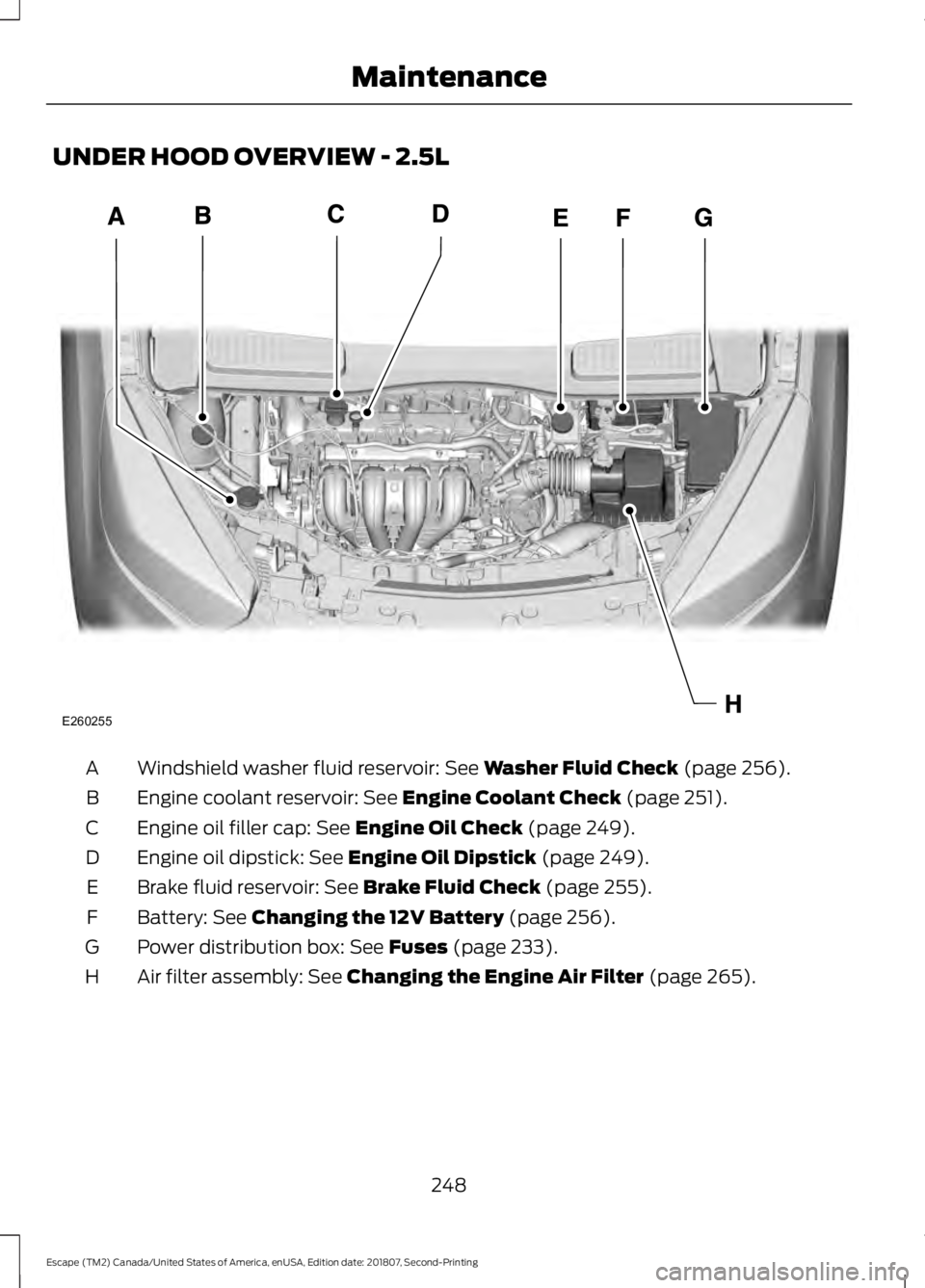 FORD ESCAPE 2019  Owners Manual UNDER HOOD OVERVIEW - 2.5L
Windshield washer fluid reservoir: See Washer Fluid Check (page 256).
A
Engine coolant reservoir:
 See Engine Coolant Check (page 251).
B
Engine oil filler cap:
 See Engine 