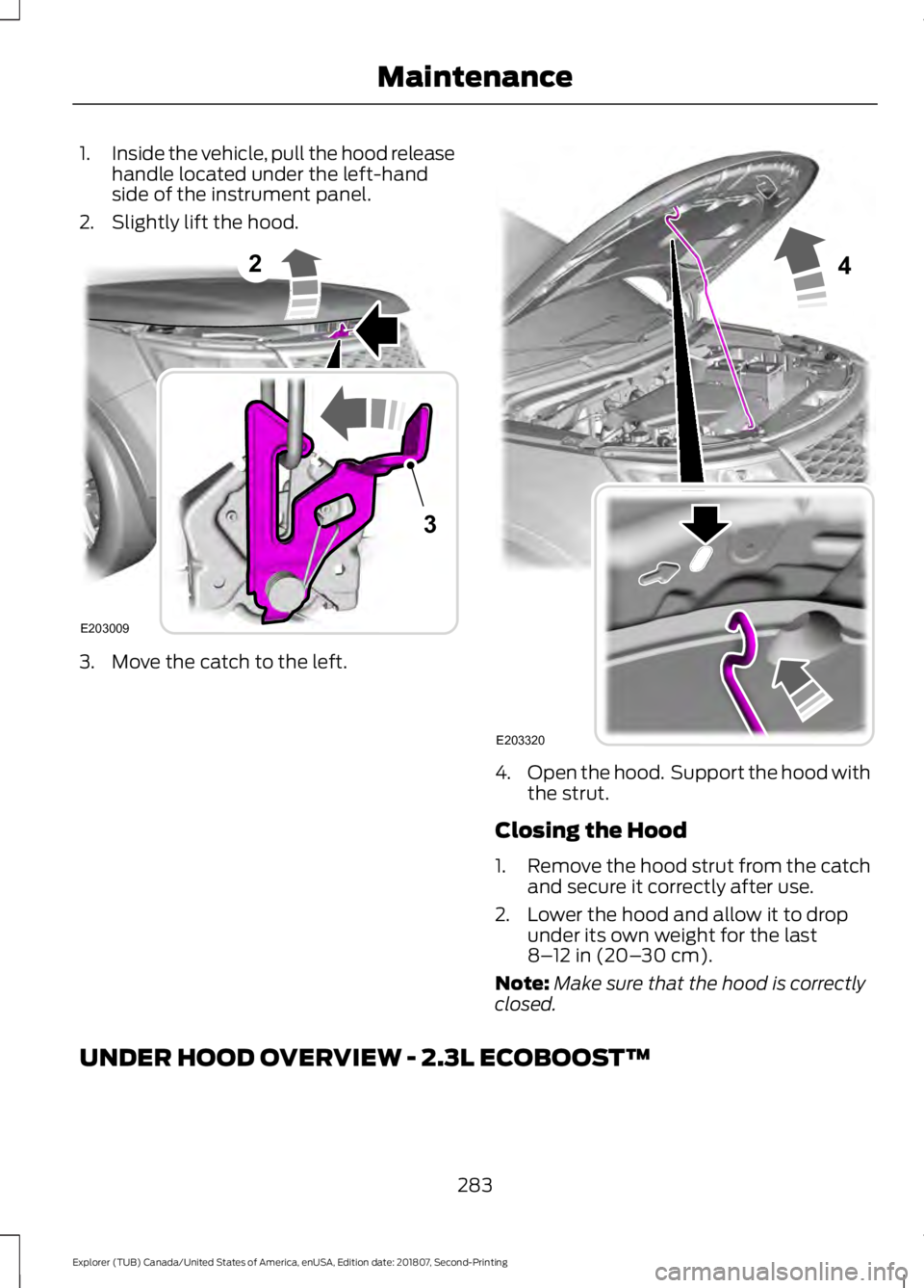 FORD EXPLORER 2019 Owners Manual 1.
Inside the vehicle, pull the hood release
handle located under the left-hand
side of the instrument panel.
2. Slightly lift the hood. 3. Move the catch to the left.
4.
Open the hood. Support the h FORD EXPLORER 2019 Owners Manual 1.
Inside the vehicle, pull the hood release
handle located under the left-hand
side of the instrument panel.
2. Slightly lift the hood. 3. Move the catch to the left.
4.
Open the hood. Support the h
