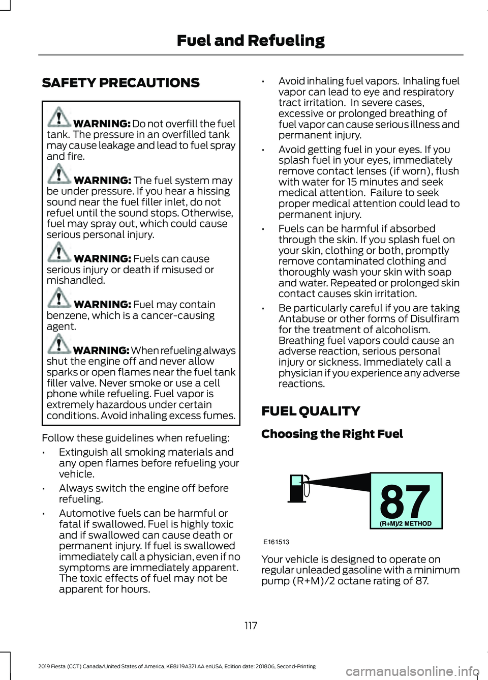 FORD FIESTA 2019  Owners Manual SAFETY PRECAUTIONS
WARNING: Do not overfill the fuel
tank. The pressure in an overfilled tank
may cause leakage and lead to fuel spray
and fire. WARNING: 
The fuel system may
be under pressure. If you