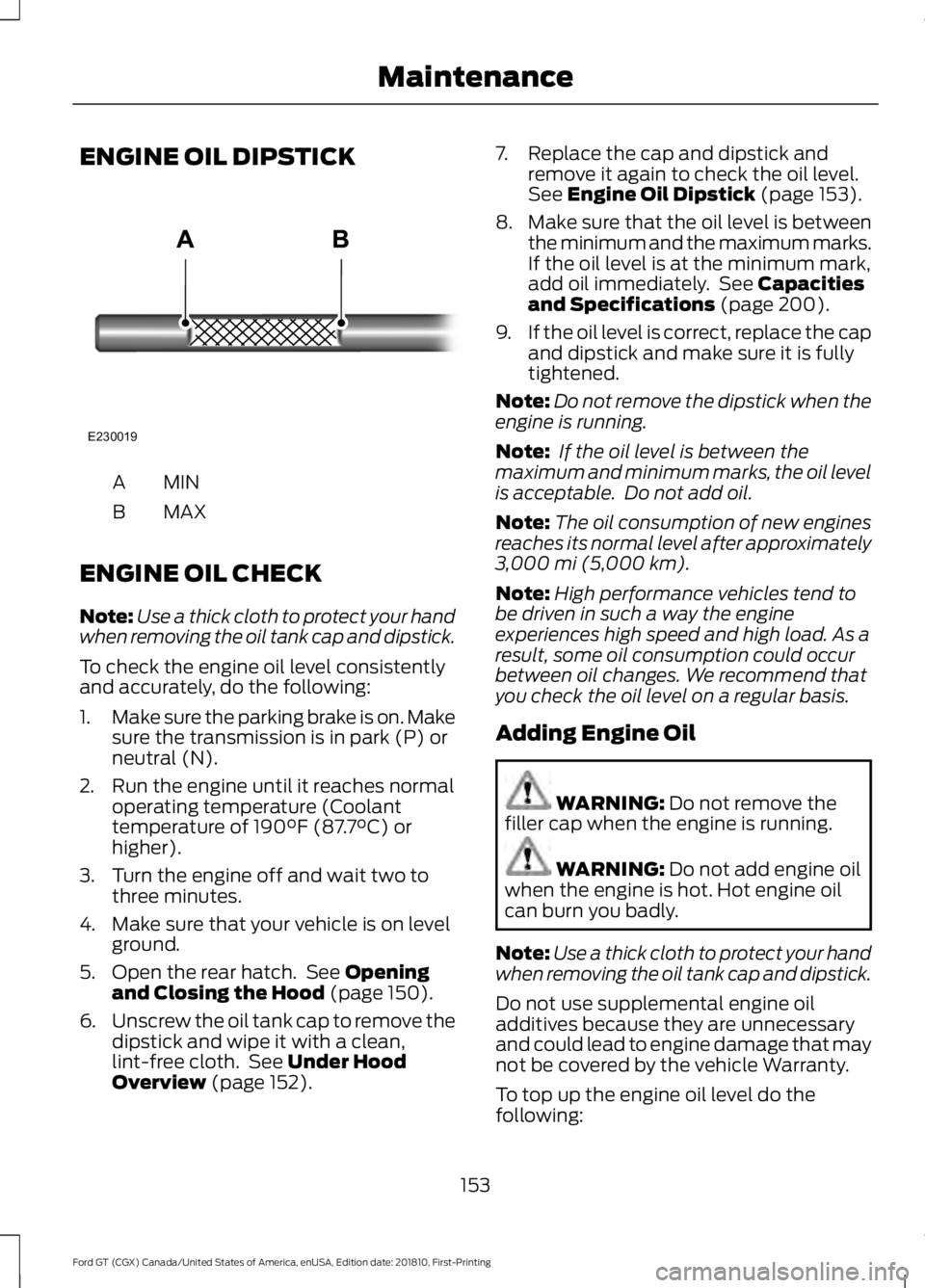 FORD GT 2019  Owners Manual ENGINE OIL DIPSTICK
MINA
MAX
B
ENGINE OIL CHECK
Note: Use a thick cloth to protect your hand
when removing the oil tank cap and dipstick.
To check the engine oil level consistently
and accurately, do 