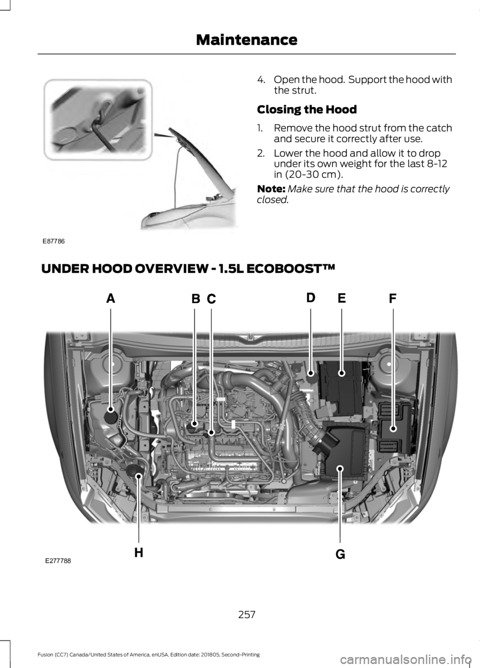 FORD FUSION 2019  Owners Manual 4.
Open the hood.  Support the hood with
the strut.
Closing the Hood
1. Remove the hood strut from the catch
and secure it correctly after use.
2. Lower the hood and allow it to drop under its own wei