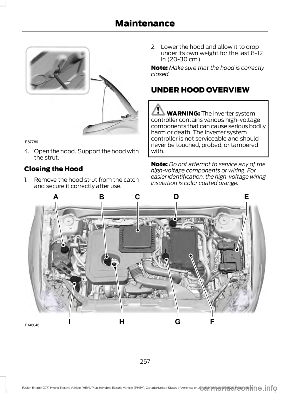 FORD FUSION HYBRID 2019  Owners Manual 4.
Open the hood.  Support the hood with
the strut.
Closing the Hood
1. Remove the hood strut from the catch
and secure it correctly after use. 2. Lower the hood and allow it to drop
under its own wei