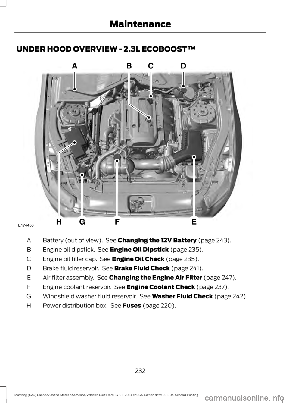 FORD MUSTANG 2019  Owners Manual UNDER HOOD OVERVIEW - 2.3L ECOBOOST™
Battery (out of view).  See Changing the 12V Battery (page 243).
A
Engine oil dipstick.  See 
Engine Oil Dipstick (page 235).
B
Engine oil filler cap.  See 
Engi