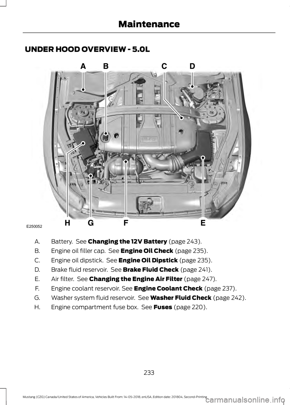 FORD MUSTANG 2019  Owners Manual UNDER HOOD OVERVIEW - 5.0L
Battery.  See Changing the 12V Battery (page 243).
A.
Engine oil filler cap.  See 
Engine Oil Check (page 235).
B.
Engine oil dipstick.  See 
Engine Oil Dipstick (page 235).