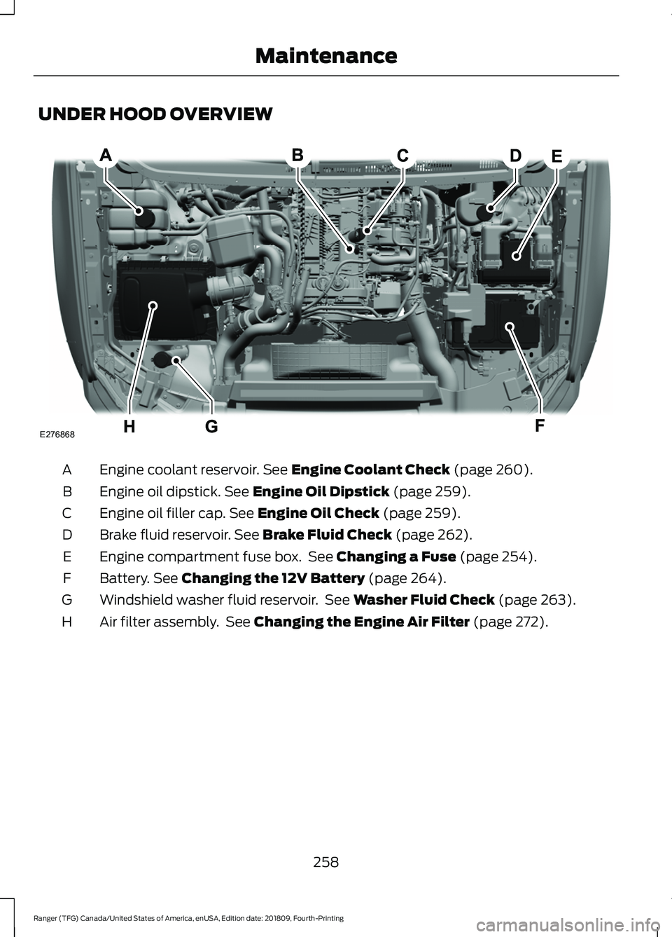 FORD RANGER 2019  Owners Manual UNDER HOOD OVERVIEW
Engine coolant reservoir. See Engine Coolant Check (page 260).
A
Engine oil dipstick.
 See Engine Oil Dipstick (page 259).
B
Engine oil filler cap.
 See Engine Oil Check (page 259)