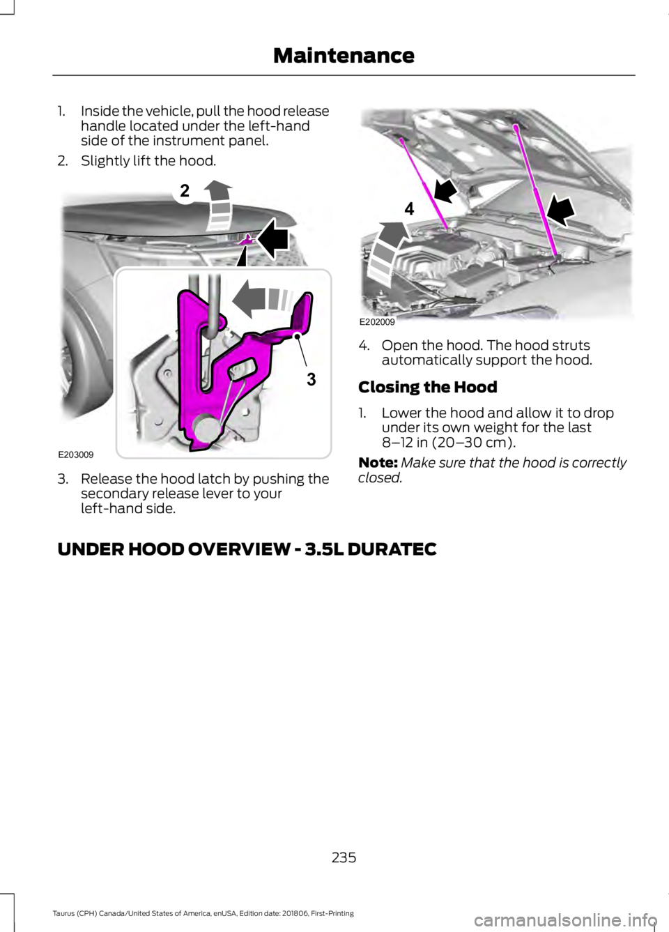 FORD TAURUS 2019 Owners Manual 1.
Inside the vehicle, pull the hood release
handle located under the left-hand
side of the instrument panel.
2. Slightly lift the hood. 3. Release the hood latch by pushing the
secondary release leve FORD TAURUS 2019 Owners Manual 1.
Inside the vehicle, pull the hood release
handle located under the left-hand
side of the instrument panel.
2. Slightly lift the hood. 3. Release the hood latch by pushing the
secondary release leve