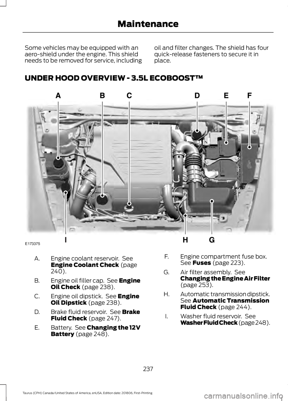 FORD TAURUS 2019 Owners Manual Some vehicles may be equipped with an
aero-shield under the engine. This shield
needs to be removed for service, including
oil and filter changes. The shield has four
quick-release fasteners to secure FORD TAURUS 2019 Owners Manual Some vehicles may be equipped with an
aero-shield under the engine. This shield
needs to be removed for service, including
oil and filter changes. The shield has four
quick-release fasteners to secure