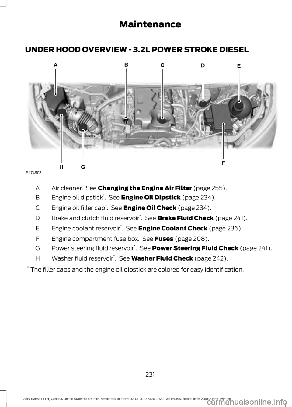 FORD TRANSIT 2019  Owners Manual UNDER HOOD OVERVIEW - 3.2L POWER STROKE DIESEL
Air cleaner.  See Changing the Engine Air Filter (page 255).
A
Engine oil dipstick *
.  See 
Engine Oil Dipstick (page 234).
B
Engine oil filler cap *
. 