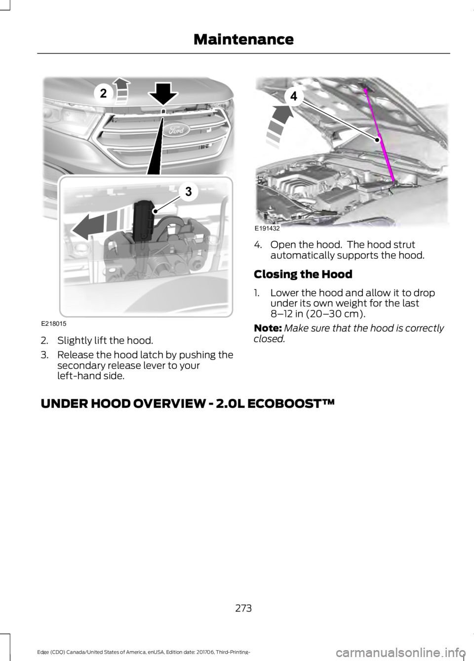 FORD EDGE 2018 Owners Manual 2. Slightly lift the hood.
3. Release the hood latch by pushing the
secondary release lever to your
left-hand side. 4. Open the hood. The hood strut
automatically supports the hood.
Closing the Hood
FORD EDGE 2018 Owners Manual 2. Slightly lift the hood.
3. Release the hood latch by pushing the
secondary release lever to your
left-hand side. 4. Open the hood. The hood strut
automatically supports the hood.
Closing the Hood