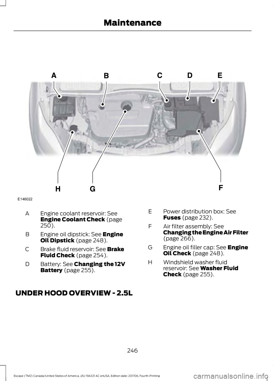 FORD ESCAPE 2018  Owners Manual Engine coolant reservoir: See
Engine Coolant Check (page
250).
A
Engine oil dipstick:
 See Engine
Oil Dipstick (page 248).
B
Brake fluid reservoir:
 See Brake
Fluid Check (page 254).
C
Battery:
 See C