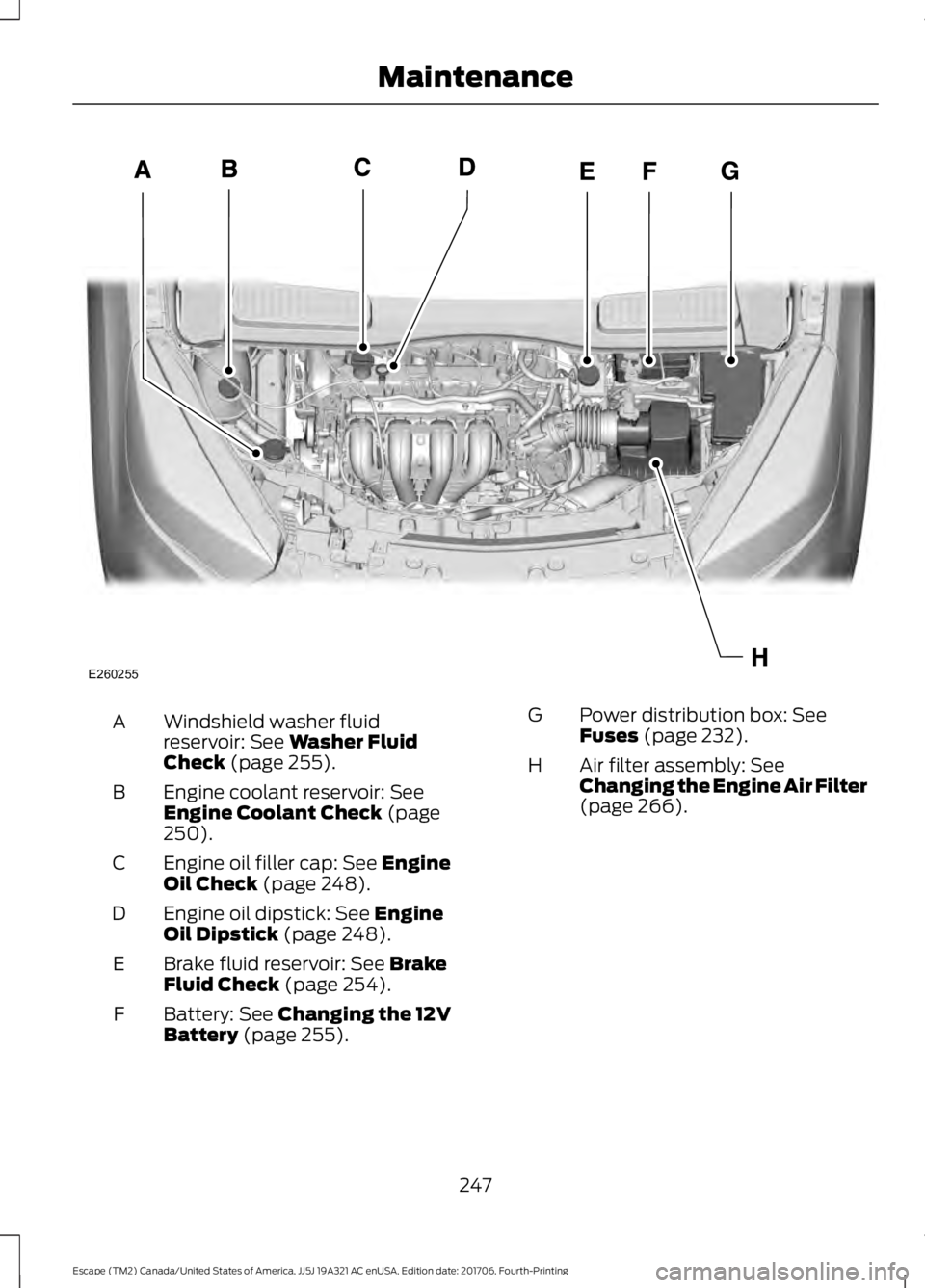 FORD ESCAPE 2018  Owners Manual Windshield washer fluid
reservoir: See Washer Fluid
Check (page 255).
A
Engine coolant reservoir:
 See
Engine Coolant Check (page
250).
B
Engine oil filler cap:
 See Engine
Oil Check (page 248).
C
Eng