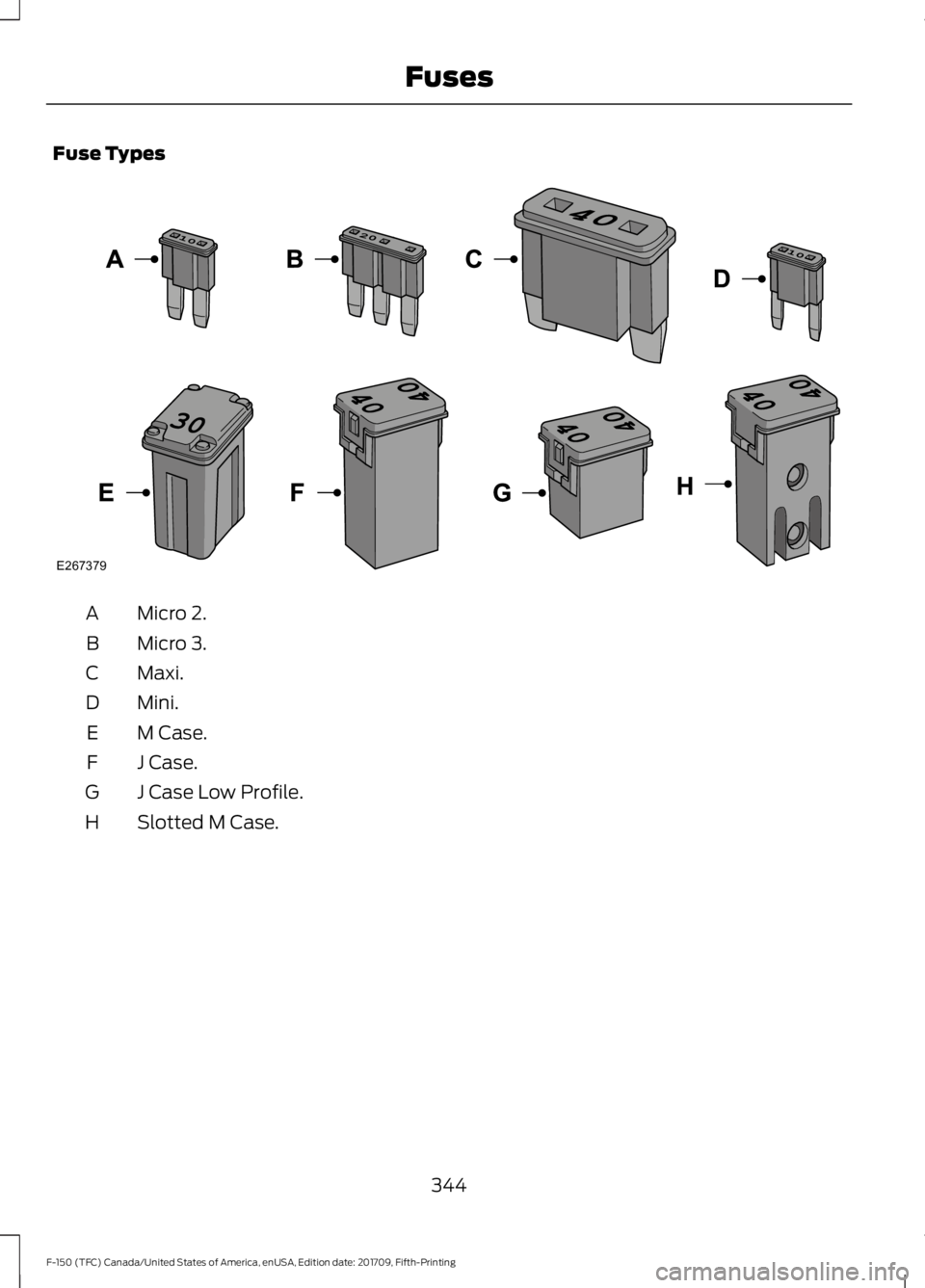 FORD F-150 2018  Owners Manual Fuse Types
Micro 2.
A
Micro 3.
B
Maxi.
C
Mini.
D
M Case.
E
J Case.
F
J Case Low Profile.
G
Slotted M Case.
H
344
F-150 (TFC) Canada/United States of America, enUSA, Edition date: 201709, Fifth-Printin