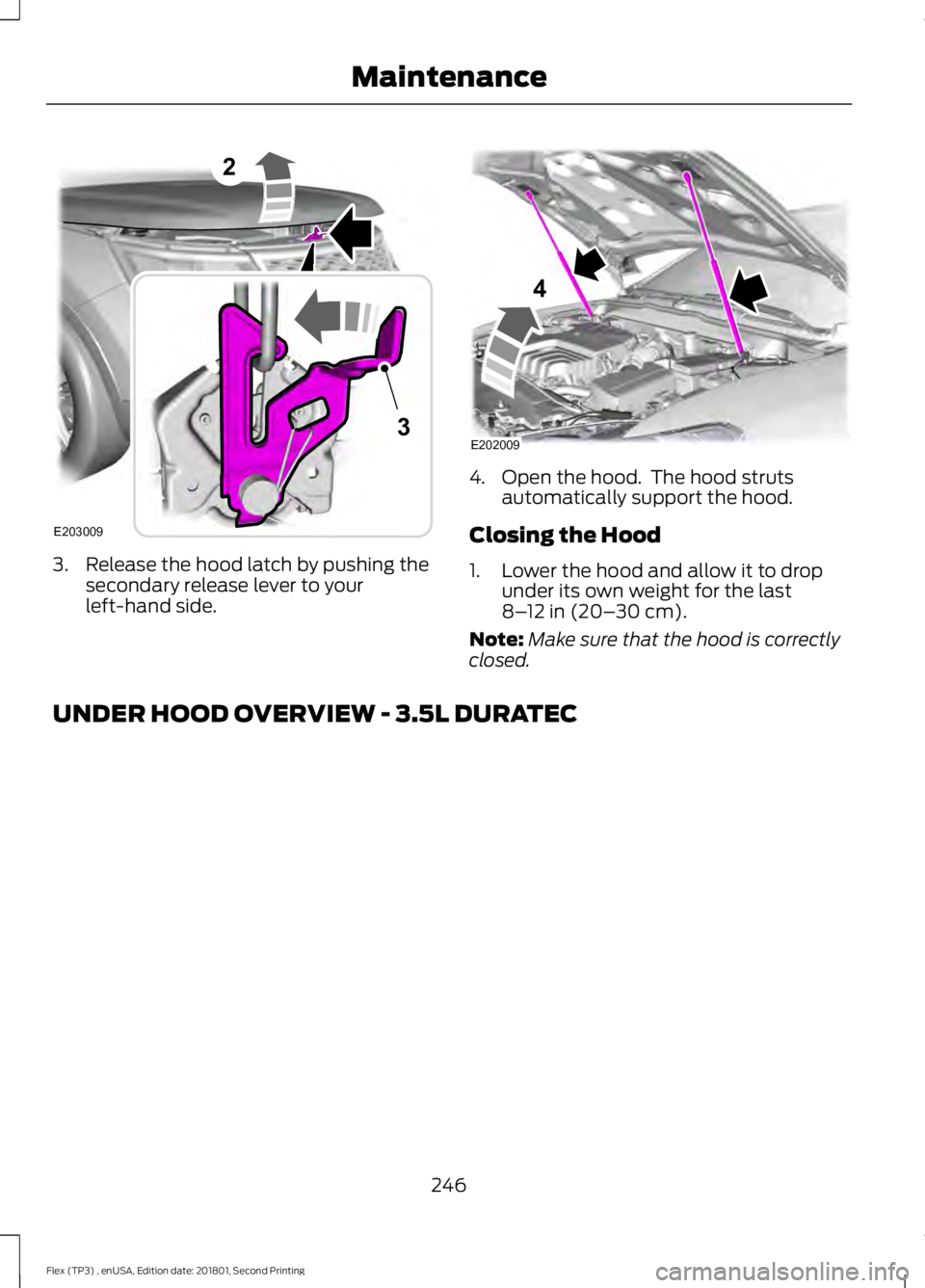 FORD FLEX 2018  Owners Manual 3. Release the hood latch by pushing the
secondary release lever to your
left-hand side. 4. Open the hood.  The hood struts
automatically support the hood.
Closing the Hood
1. Lower the hood and allow