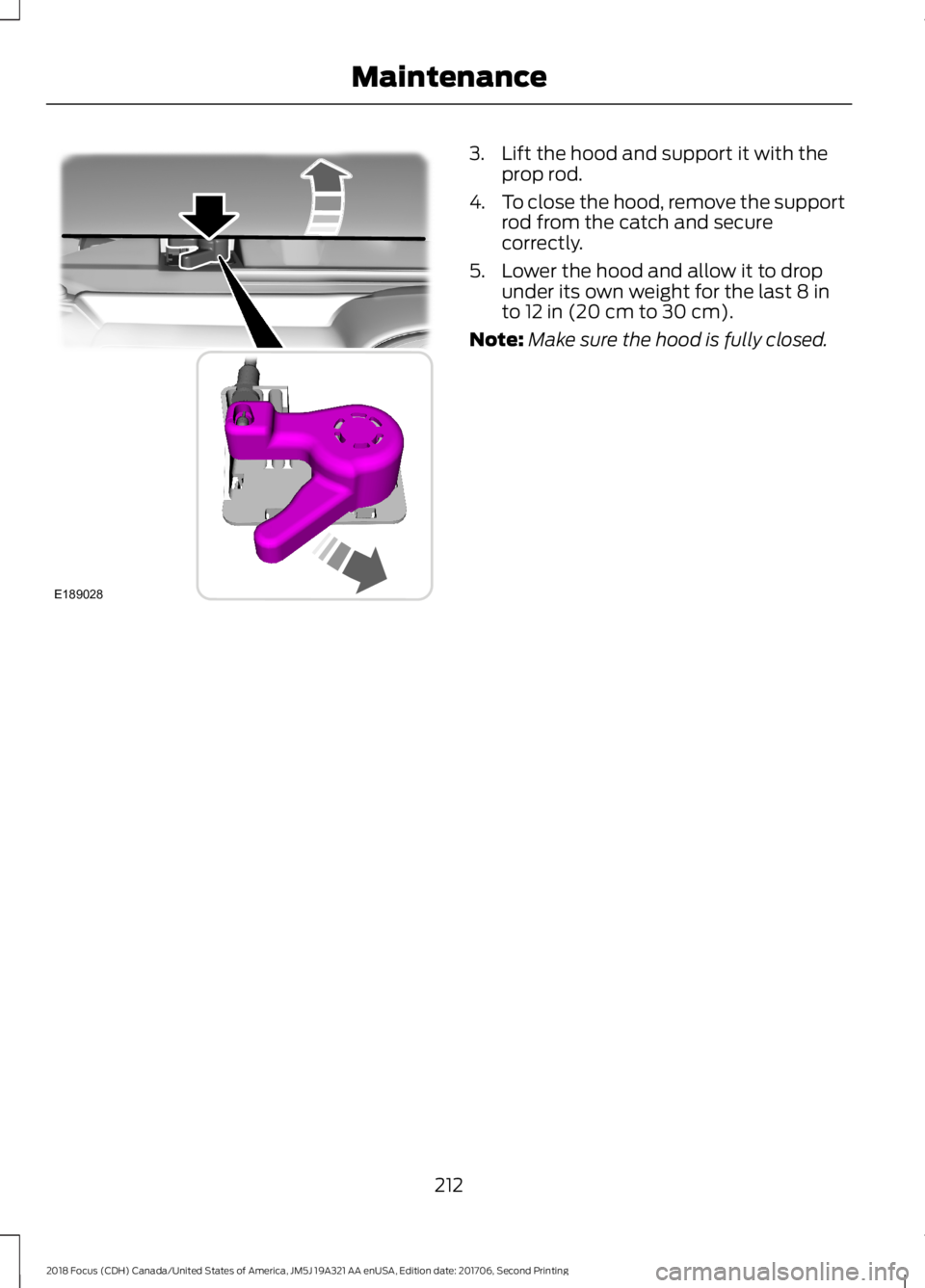 FORD FOCUS 2018 Owners Manual 3.Lift the hood and support it with theprop rod.
4.To close the hood, remove the supportrod from the catch and securecorrectly.
5.Lower the hood and allow it to dropunder its own weight for the last 8 FORD FOCUS 2018 Owners Manual 3.Lift the hood and support it with theprop rod.
4.To close the hood, remove the supportrod from the catch and securecorrectly.
5.Lower the hood and allow it to dropunder its own weight for the last 8