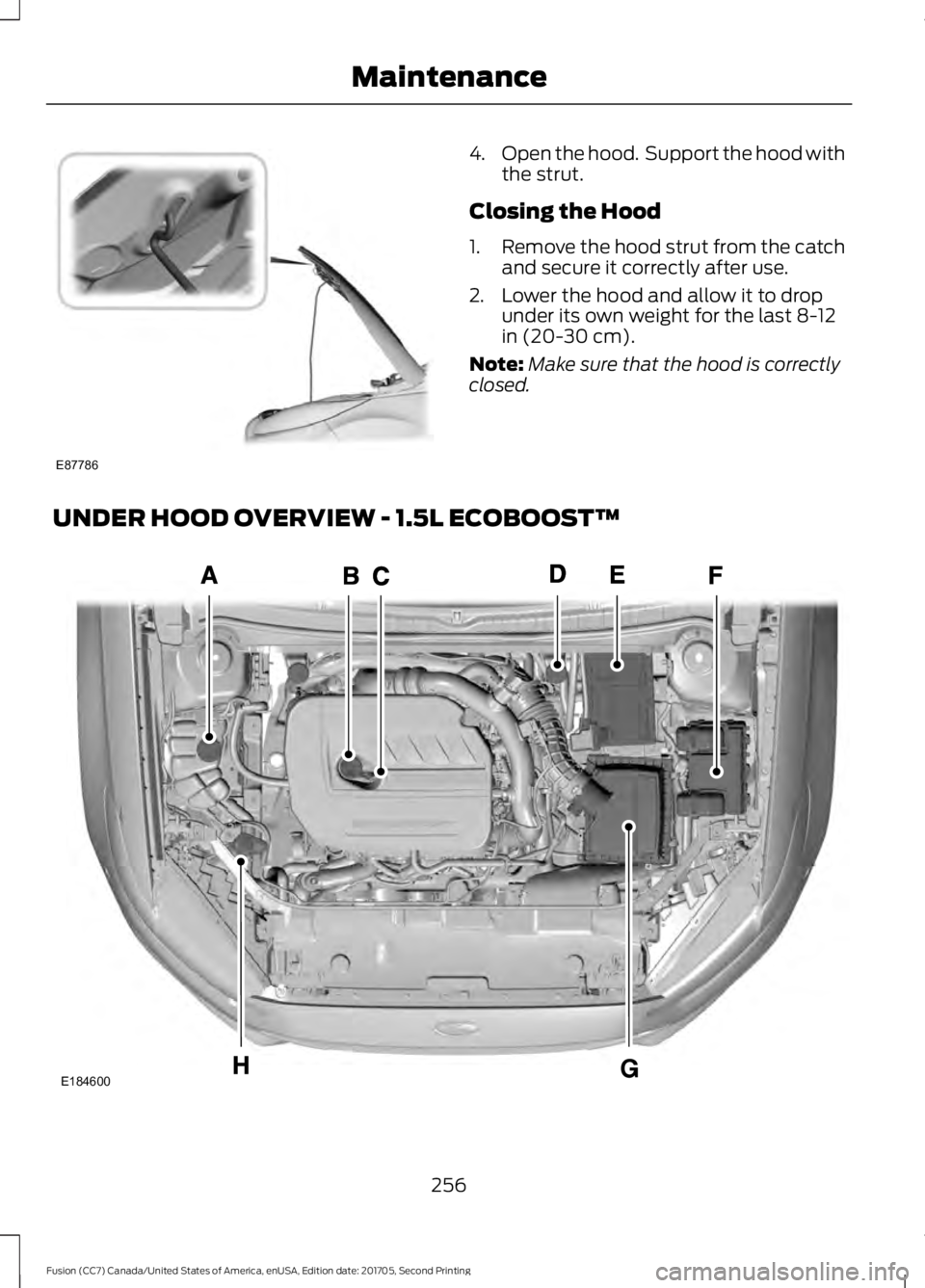 FORD FUSION 2018  Owners Manual 4.
Open the hood.  Support the hood with
the strut.
Closing the Hood
1. Remove the hood strut from the catch
and secure it correctly after use.
2. Lower the hood and allow it to drop under its own wei