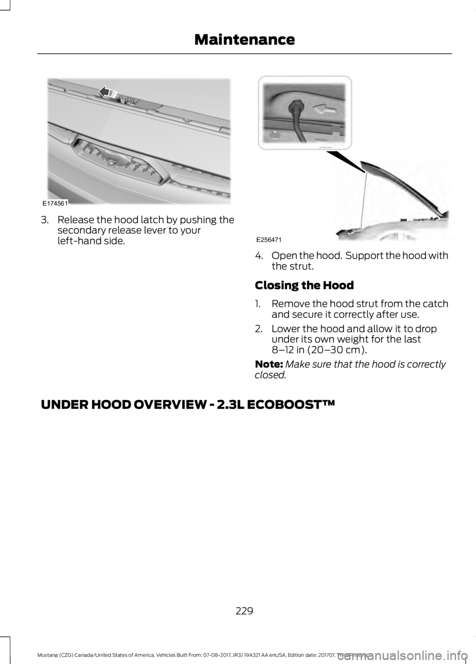 FORD MUSTANG 2018   Owners Manual 3. Release the hood latch by pushing the
secondary release lever to your
left-hand side. 4.
Open the hood.  Support the hood with
the strut.
Closing the Hood
1. Remove the hood strut from the catch
an