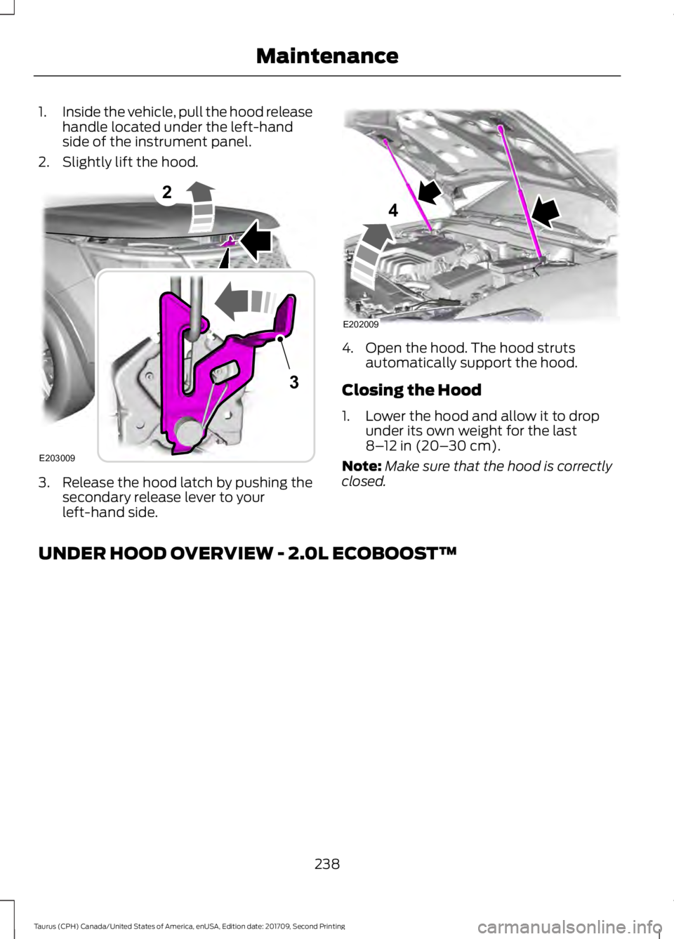 FORD TAURUS 2018 Owners Manual 1.
Inside the vehicle, pull the hood release
handle located under the left-hand
side of the instrument panel.
2. Slightly lift the hood. 3. Release the hood latch by pushing the
secondary release leve FORD TAURUS 2018 Owners Manual 1.
Inside the vehicle, pull the hood release
handle located under the left-hand
side of the instrument panel.
2. Slightly lift the hood. 3. Release the hood latch by pushing the
secondary release leve