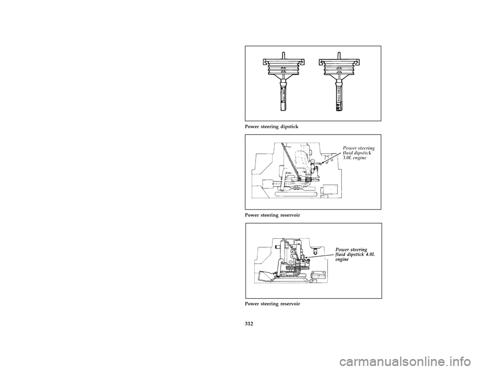 FORD AEROSTAR 1996 1.G Owners Manual 312
*
[SV38250(ALL)03/94]
one third page art:0021016-B
Power steering dipstick
[SV38525(ALL)05/94]
one third page art:0095061-A
Power steering reservoir
[SV38550(ALL)05/94]
one third page art:0020531-