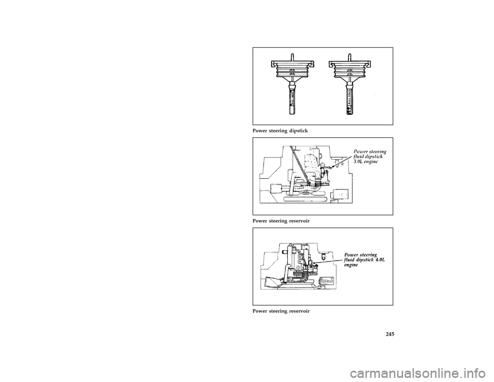 FORD AEROSTAR 1997 1.G Owners Manual 245
*
[MC09060(ALL)01/96]
one third page art:0021016-B
Power steering dipstick
[MC09070(ALL)01/96]
one third page art:0095061-A
Power steering reservoir
[MC09100(ALL)01/96]
one third page art:0020531-