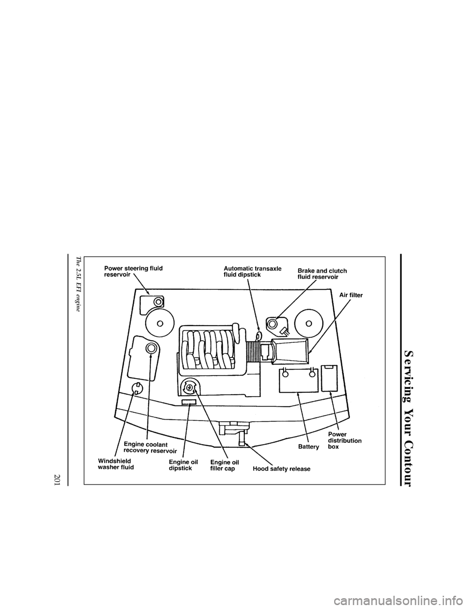 FORD CONTOUR 1996 2.G Owners Manual Servicing Your Contour
201
[SV05550(ALL)05/95]
33-1/2 pica
art:0001163-D
The 2.5L EFI engine
File:cdsvo.ex
Update:Thu Jan 25 12:09:28 1996 