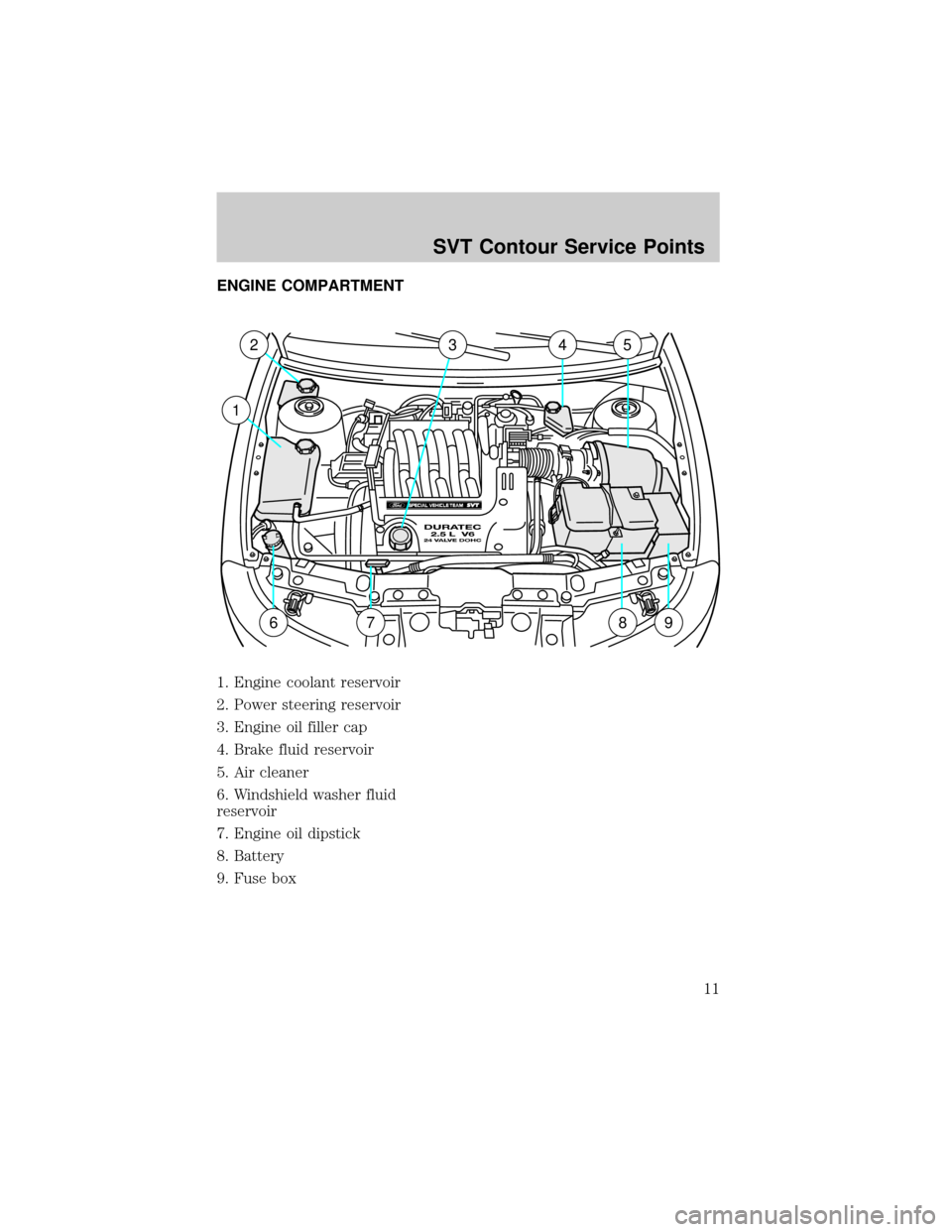 FORD CONTOUR 1998 2.G SVT Supplement Manual ENGINE COMPARTMENT
1. Engine coolant reservoir
2. Power steering reservoir
3. Engine oil filler cap
4. Brake fluid reservoir
5. Air cleaner
6. Windshield washer fluid
reservoir
7. Engine oil dipstick
