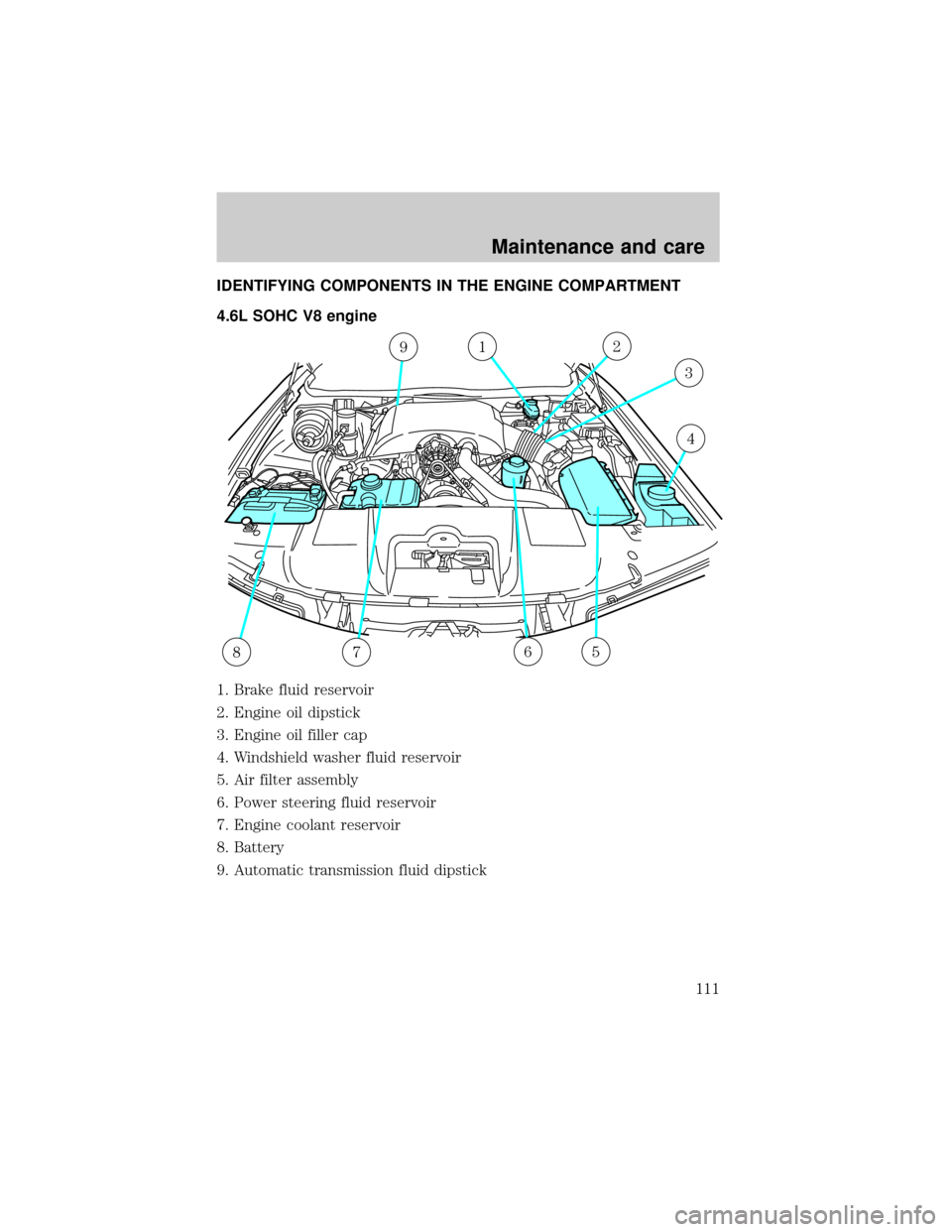 FORD CROWN VICTORIA 1998 2.G Owners Manual IDENTIFYING COMPONENTS IN THE ENGINE COMPARTMENT
4.6L SOHC V8 engine
1. Brake fluid reservoir
2. Engine oil dipstick
3. Engine oil filler cap
4. Windshield washer fluid reservoir
5. Air filter assembl