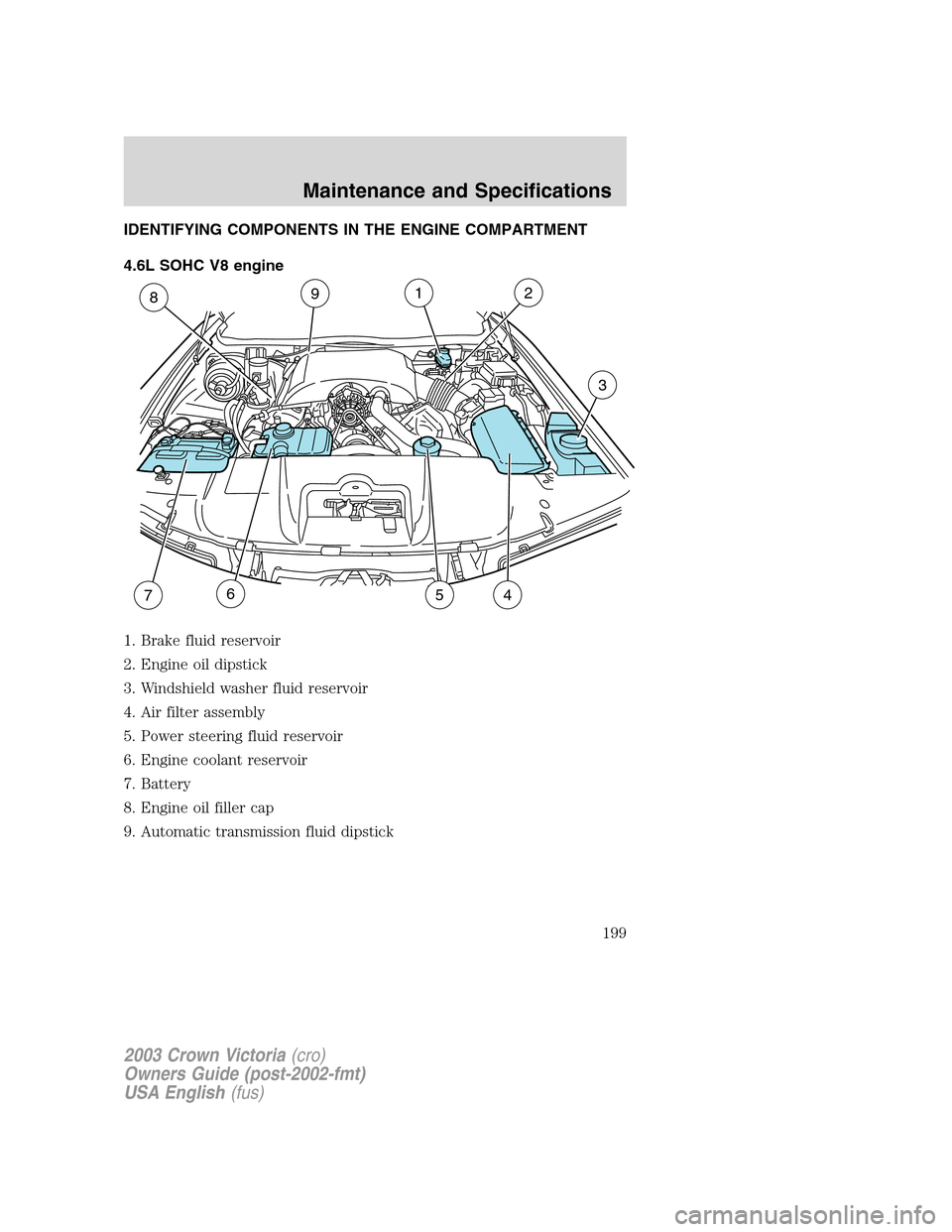 FORD CROWN VICTORIA 2003 2.G Owners Manual IDENTIFYING COMPONENTS IN THE ENGINE COMPARTMENT
4.6L SOHC V8 engine
1. Brake fluid reservoir
2. Engine oil dipstick
3. Windshield washer fluid reservoir
4. Air filter assembly
5. Power steering fluid FORD CROWN VICTORIA 2003 2.G Owners Manual IDENTIFYING COMPONENTS IN THE ENGINE COMPARTMENT
4.6L SOHC V8 engine
1. Brake fluid reservoir
2. Engine oil dipstick
3. Windshield washer fluid reservoir
4. Air filter assembly
5. Power steering fluid