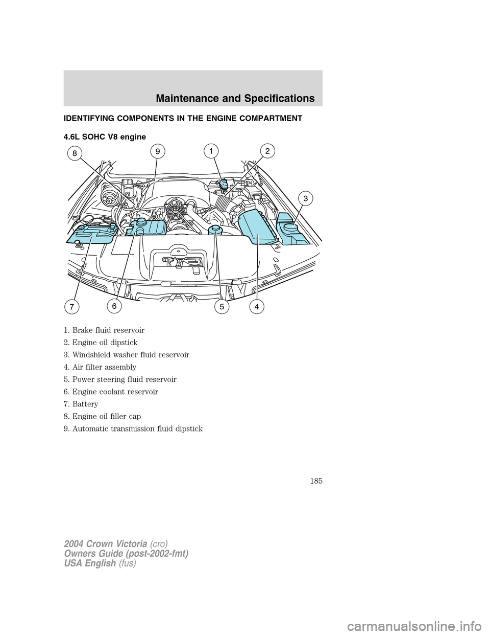 FORD CROWN VICTORIA 2004 2.G Owners Manual IDENTIFYING COMPONENTS IN THE ENGINE COMPARTMENT
4.6L SOHC V8 engine
1. Brake fluid reservoir
2. Engine oil dipstick
3. Windshield washer fluid reservoir
4. Air filter assembly
5. Power steering fluid FORD CROWN VICTORIA 2004 2.G Owners Manual IDENTIFYING COMPONENTS IN THE ENGINE COMPARTMENT
4.6L SOHC V8 engine
1. Brake fluid reservoir
2. Engine oil dipstick
3. Windshield washer fluid reservoir
4. Air filter assembly
5. Power steering fluid