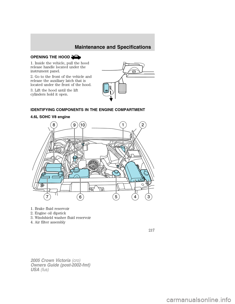 FORD CROWN VICTORIA 2005 2.G Owners Manual OPENING THE HOOD
1. Inside the vehicle, pull the hood
release handle located under the
instrument panel.
2. Go to the front of the vehicle and
release the auxiliary latch that is
located under the fro