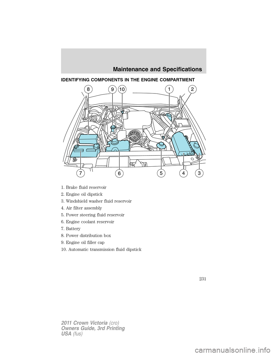 FORD CROWN VICTORIA 2011 2.G Owners Manual IDENTIFYING COMPONENTS IN THE ENGINE COMPARTMENT
1. Brake fluid reservoir
2. Engine oil dipstick
3. Windshield washer fluid reservoir
4. Air filter assembly
5. Power steering fluid reservoir
6. Engine