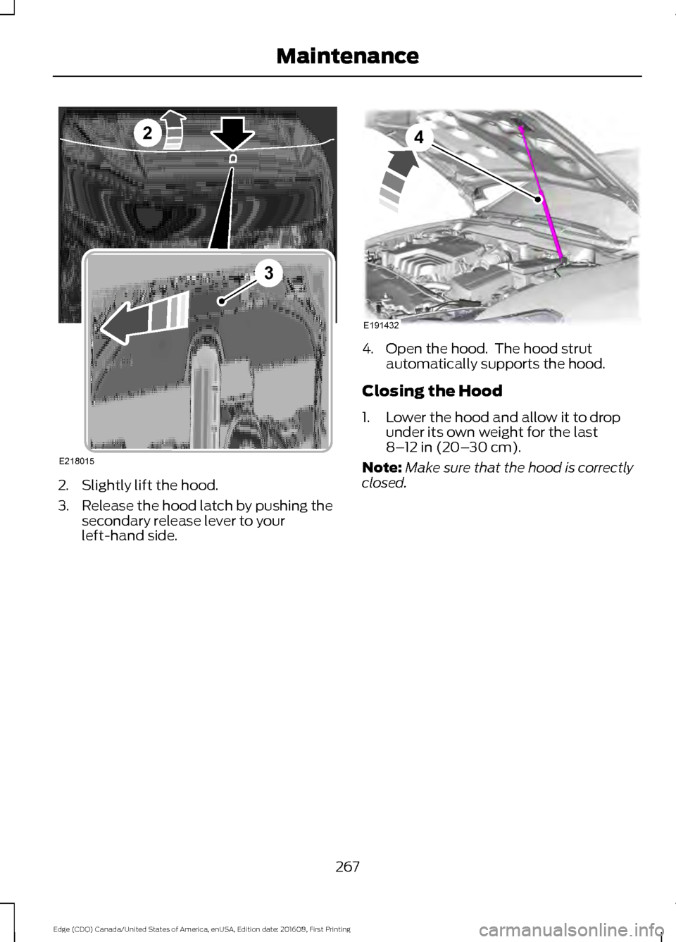FORD EDGE 2017 2.G Owners Manual 2. Slightly lift the hood.
3. Release the hood latch by pushing the
secondary release lever to your
left-hand side. 4. Open the hood.  The hood strut
automatically supports the hood.
Closing the Hood
