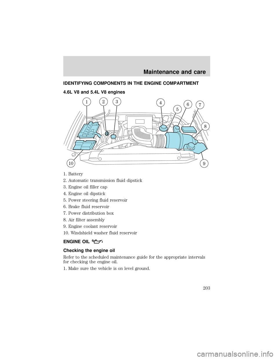 FORD EXPEDITION 2001 1.G Owners Manual IDENTIFYING COMPONENTS IN THE ENGINE COMPARTMENT
4.6L V8 and 5.4L V8 engines
1. Battery
2. Automatic transmission fluid dipstick
3. Engine oil filler cap
4. Engine oil dipstick
5. Power steering fluid