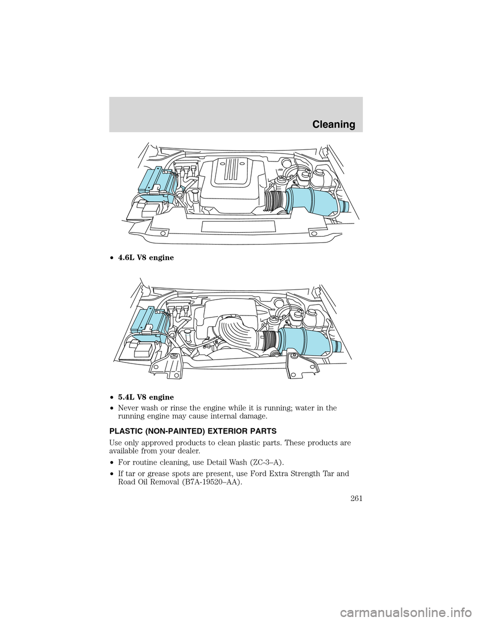 FORD EXPEDITION 2003 2.G Owners Manual •4.6L V8 engine
•5.4L V8 engine
•Never wash or rinse the engine while it is running; water in the
running engine may cause internal damage.
PLASTIC (NON-PAINTED) EXTERIOR PARTS
Use only approved