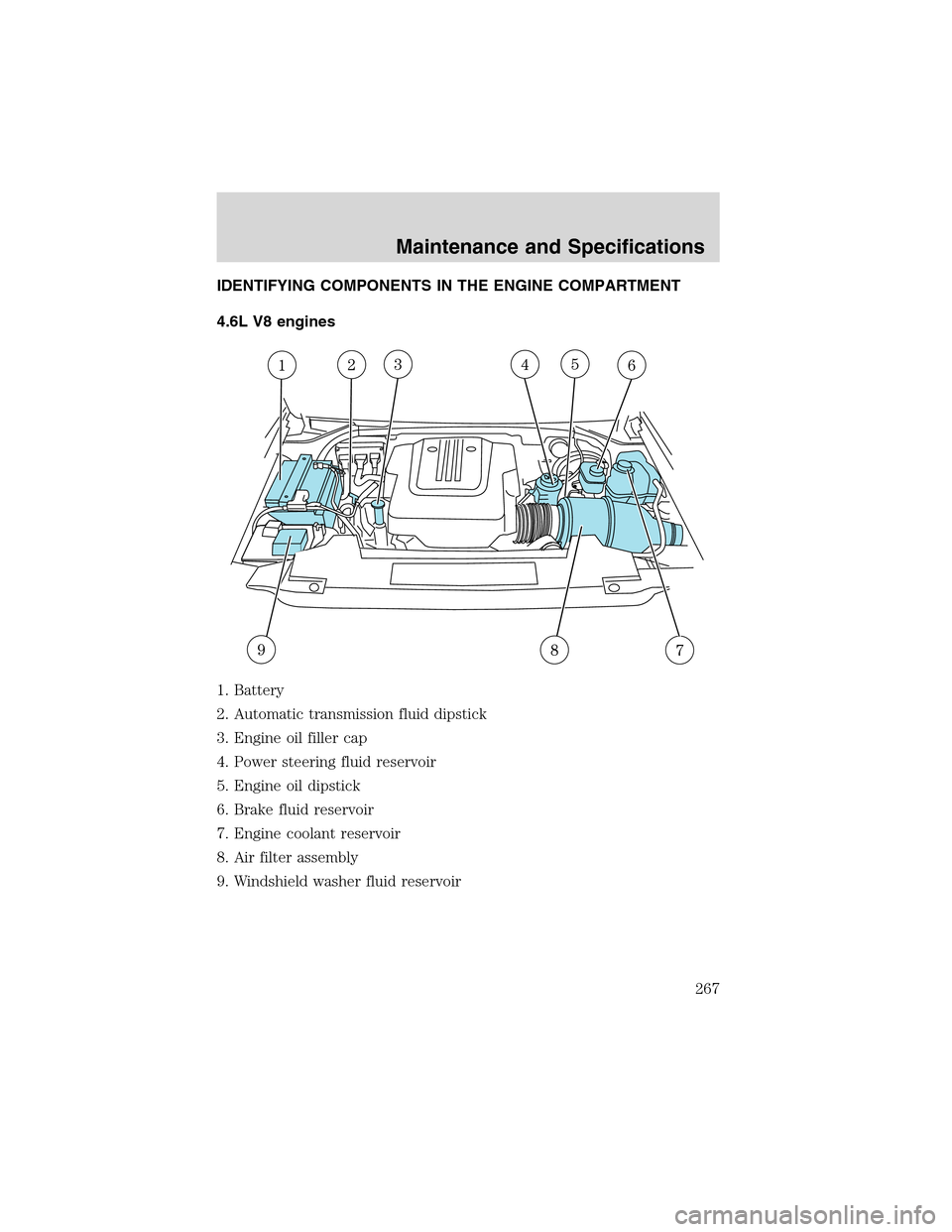 FORD EXPEDITION 2003 2.G Owners Manual IDENTIFYING COMPONENTS IN THE ENGINE COMPARTMENT
4.6L V8 engines
1. Battery
2. Automatic transmission fluid dipstick
3. Engine oil filler cap
4. Power steering fluid reservoir
5. Engine oil dipstick
6