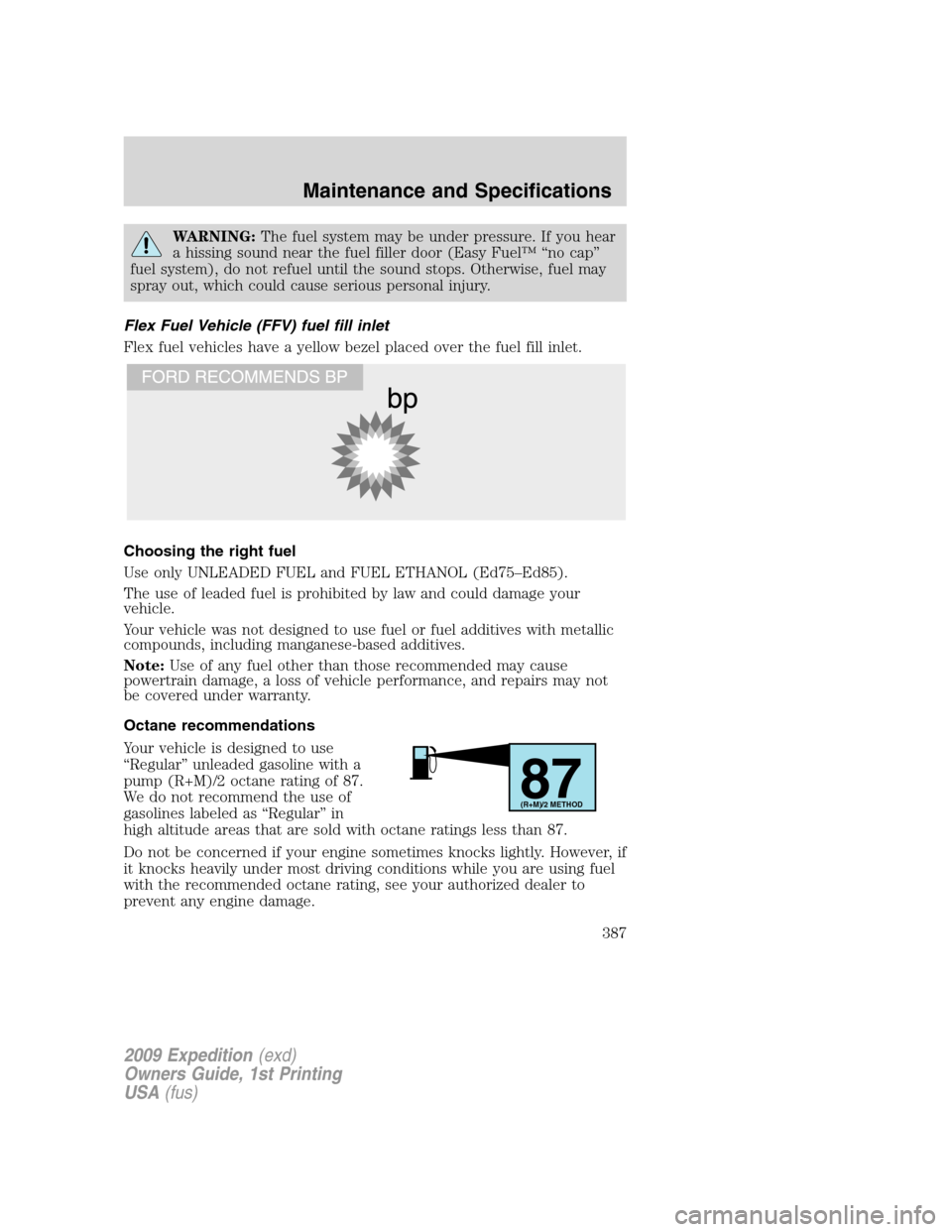 FORD EXPEDITION 2009 3.G Owners Manual WARNING:The fuel system may be under pressure. If you hear
a hissing sound near the fuel filler door (Easy Fuel™ “no cap”
fuel system), do not refuel until the sound stops. Otherwise, fuel may
s