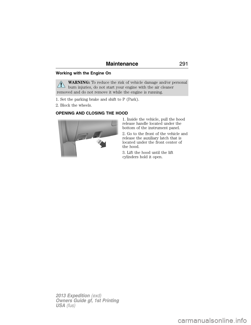 FORD EXPEDITION 2013 3.G Owners Manual Working with the Engine On
WARNING:To reduce the risk of vehicle damage and/or personal
burn injuries, do not start your engine with the air cleaner
removed and do not remove it while the engine is ru