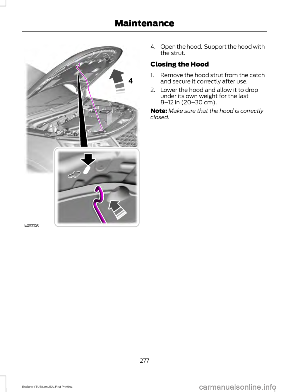 FORD EXPLORER 2016 5.G Owners Manual 4.
Open the hood. Support the hood with
the strut.
Closing the Hood
1. Remove the hood strut from the catch
and secure it correctly after use.
2. Lower the hood and allow it to drop under its own wei FORD EXPLORER 2016 5.G Owners Manual 4.
Open the hood. Support the hood with
the strut.
Closing the Hood
1. Remove the hood strut from the catch
and secure it correctly after use.
2. Lower the hood and allow it to drop under its own wei