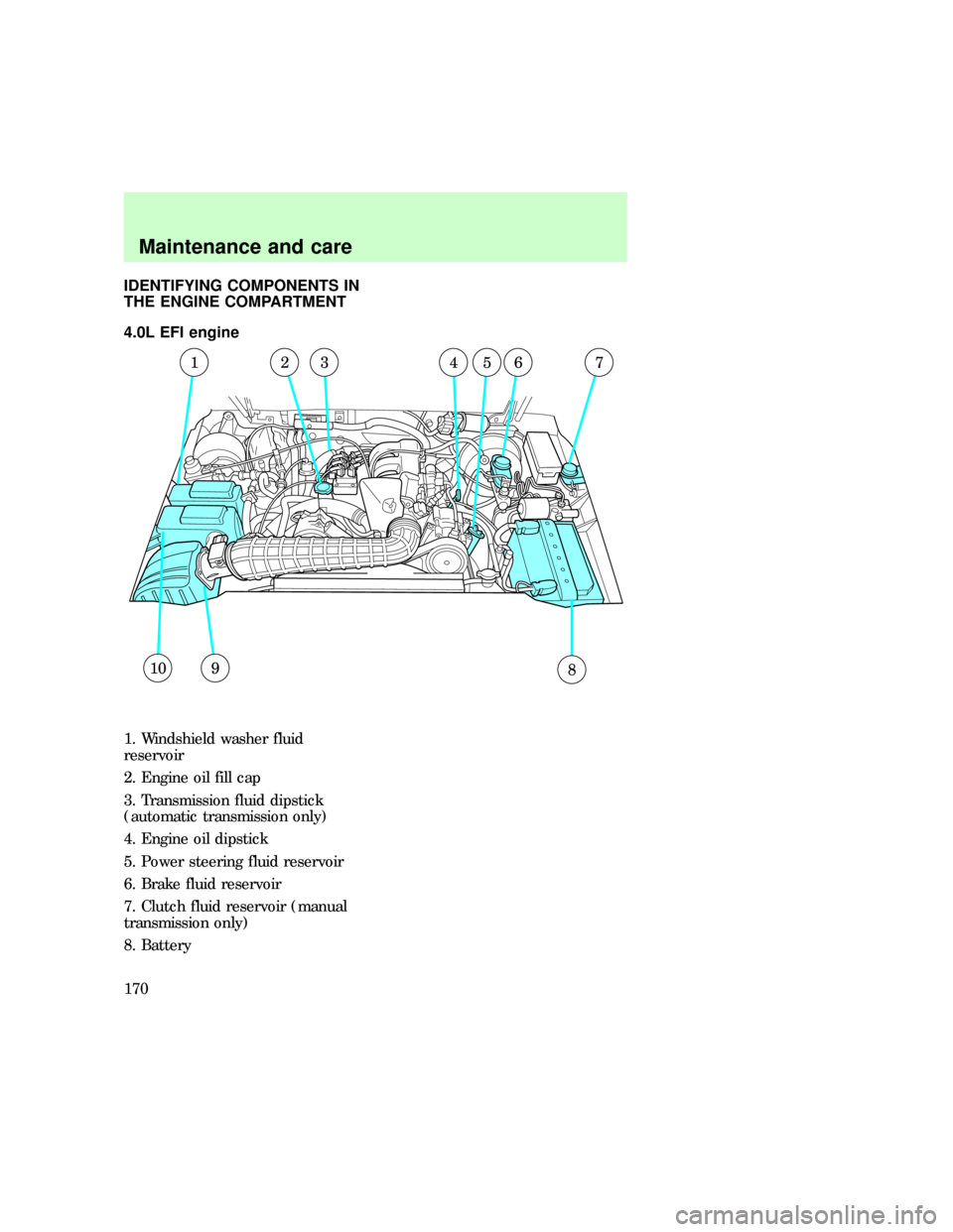 FORD EXPLORER 1997 2.G Owners Manual IDENTIFYING COMPONENTS IN
THE ENGINE COMPARTMENT
4.0L EFI engine
1. Windshield washer fluid
reservoir
2. Engine oil fill cap
3. Transmission fluid dipstick
(automatic transmission only)
4. Engine oil 