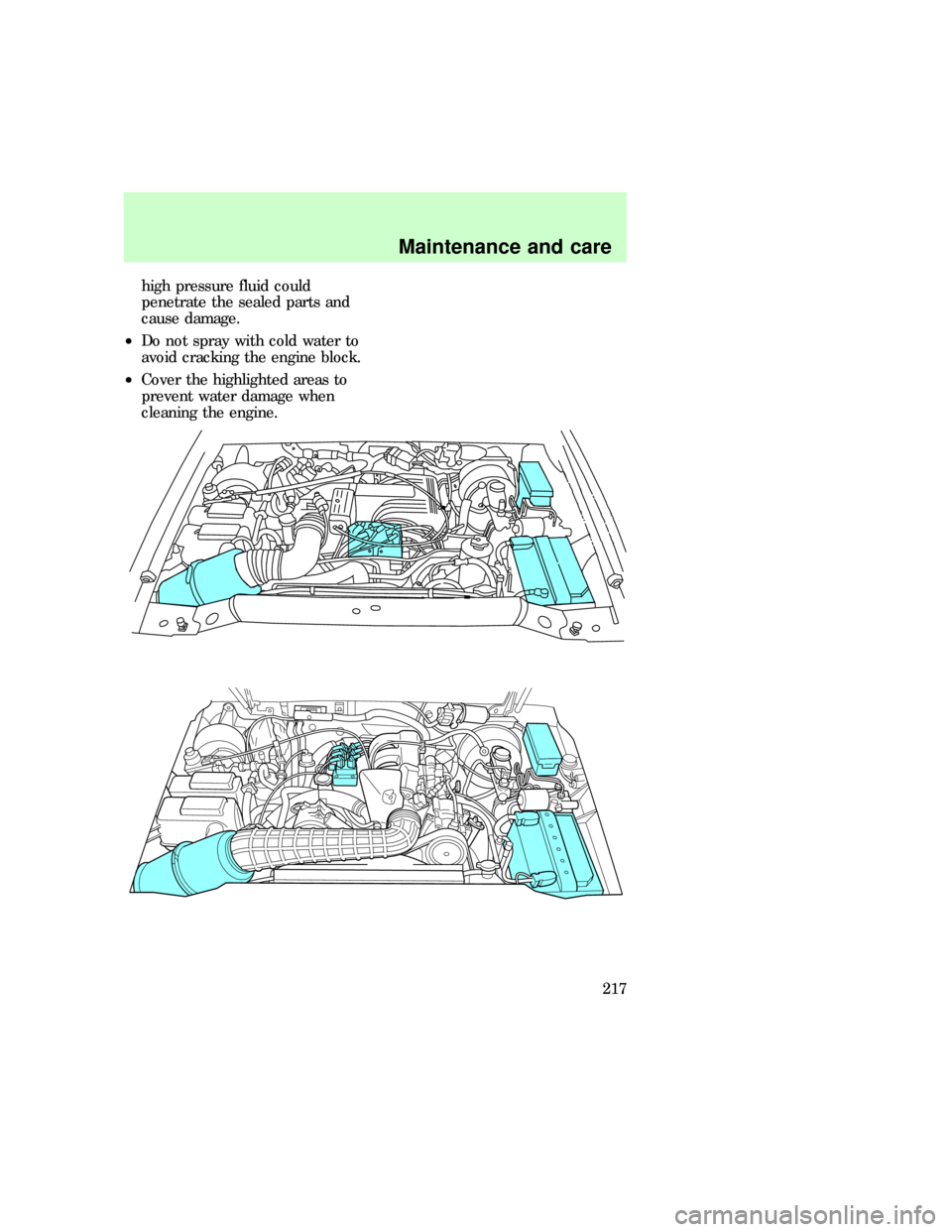FORD EXPLORER 1997 2.G Owners Manual high pressure fluid could
penetrate the sealed parts and
cause damage.
²Do not spray with cold water to
avoid cracking the engine block.
²Cover the highlighted areas to
prevent water damage when
cle FORD EXPLORER 1997 2.G Owners Manual high pressure fluid could
penetrate the sealed parts and
cause damage.
²Do not spray with cold water to
avoid cracking the engine block.
²Cover the highlighted areas to
prevent water damage when
cle